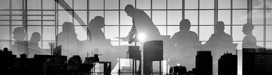 Lenine A. de Alencar Advocacia | Lenine Advogados Principais tipos de Holdings